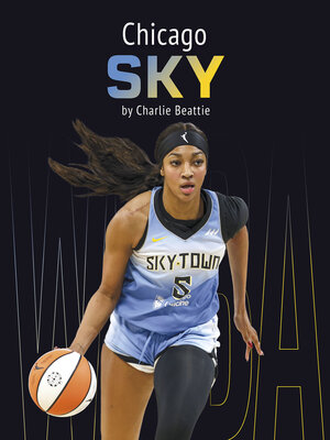cover image of Chicago Sky